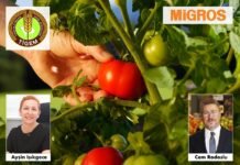 “Mirasımız Yerel Tohumlar” Yeniden Migros Raflarında TİGEM_MİGROS