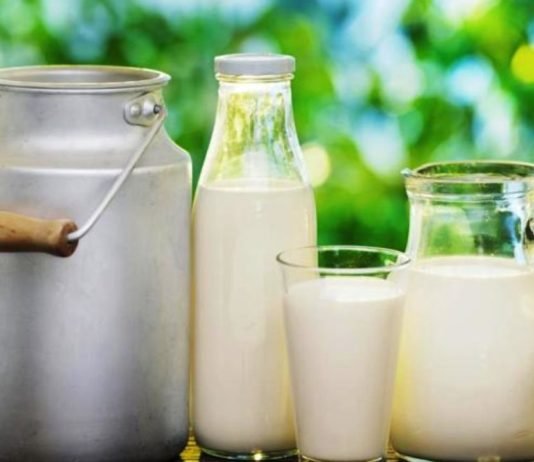 Çiğ Süt Primi 40 Kuruşa Çıkarıldı Süt Tüketimi Çocukların Öğrenme Becerilerini Etkiliyor!