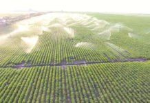 Tarım ve Sulamaya 57,5 Milyar Lira Kaynak Tarım ve sulamaya