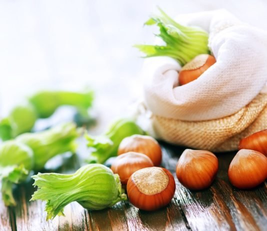 Fındık Üreticileri Kar Yağışını ve Soğuk Havayı Ürün İçin Olumlu Buluyor fındık