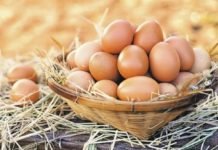 Yumurta Üreticisi Yüksek Maliyet Ve Market Kıskacında Can Çekişiyor yumurta