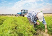 Sözleşmeli Tarımda Elektronik Ürün Senedi Sözleşmeli Tarımda Elektronik Ürün Senedi