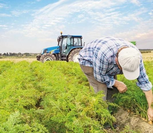 Sözleşmeli Tarımda Elektronik Ürün Senedi Sözleşmeli Tarımda Elektronik Ürün Senedi