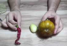 Tohum Alma Ve Saklama Yöntemleri TOHUM ALMA VE SAKLAMA YÖNTEMLERİ