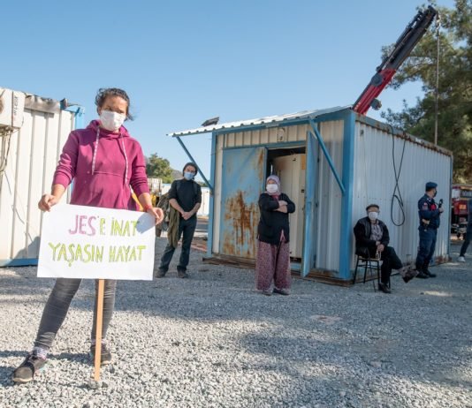 İzmir’in Zeytin Ormanlarına Jeotermal Tehdidi