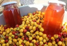 Malatya’da Alıç Kurutulunca Değeri 8 Kat Arttı alic