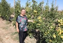 Eskişehir’de Üretilen Organik Elmalar Bebek Mamalarında Kullanılıyor eskisehir_de_uretilen_organik_elmalar_bebek_mamalari
