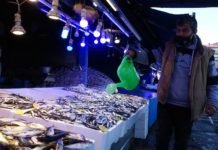 Hamsi Daha Da Lezzetlendi, Fiyatı 5 Liraya Kadar Düştü hamsi daha da lezzetlendi