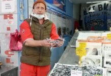 Fiyatı Düştü, Fatsa’da Yerli Hamsi 10 Lira hamsi-fiyati