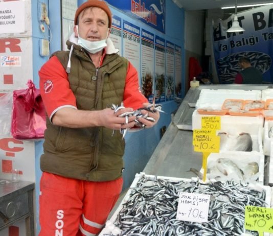 Fiyatı Düştü, Fatsa’da Yerli Hamsi 10 Lira hamsi-fiyati