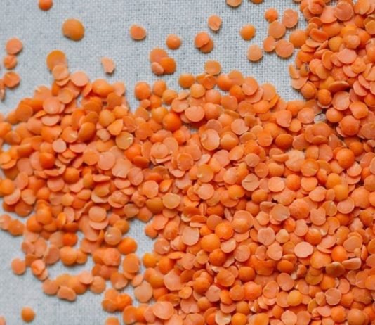 Mercimek Üretimi Destekle Yaygınlaşıyor mercimek