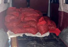 Edirne’de 500 Kilo Kaçak Midyeye 100 Bin TL Ceza midye kaçakçılığı