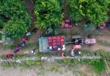 Batı Akdeniz’den 20 Milyon Dolarlık Nar İhracatı Yapıldı nar-ihracati