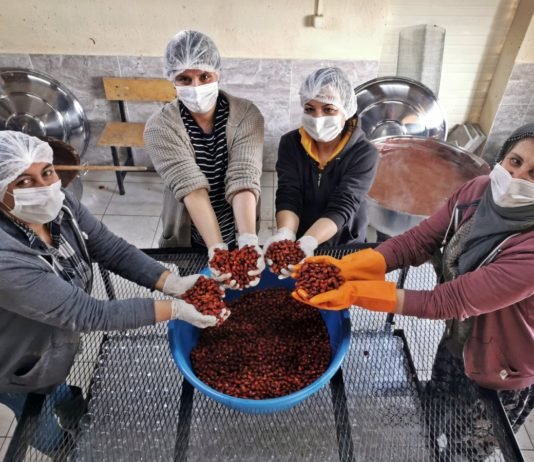 Tunceli’de Kadınlar Yaptıkları Doğal Ürünleri İhraç Etmeye Başladı recel-yapimi