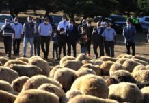 Köyünde Yaşayana Faizsiz Kredi Köyünde yaşayana faizsiz kredi