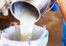 Soğutulmuş Çiğ Süt Tavsiye Fiyatı Belli Oldu Süt üreticisi