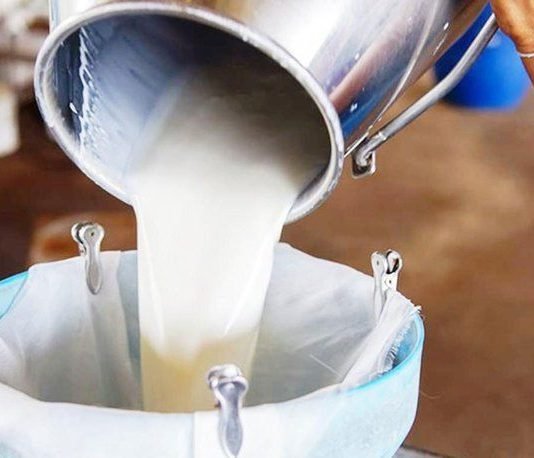 Soğutulmuş Çiğ Süt Tavsiye Fiyatı Belli Oldu Süt üreticisi