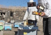 Arı Yetiştiricilerine Meteorolojik Destek Verilecek arı-yetiştiricileri