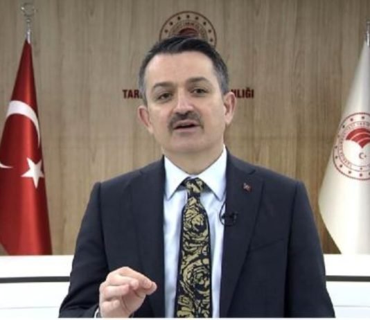 Bakan Pakdemirli Duyurdu: Fındık Alım Süresi Uzatıldı bakan-pakdemirli
