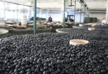 Marmarabirlik’ten 25 Milyon Dolarlık İhracat Marmarabirlik