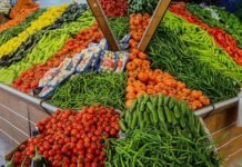 Yaş Meyve Sebze İhracatında Rekor yaş meyve-sebze