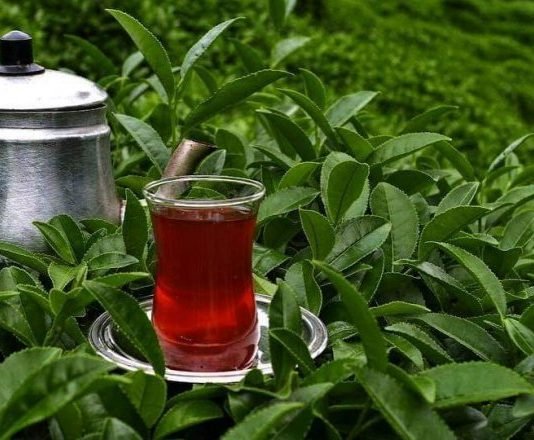 Türk Çayından 15 Milyon Dolar Gelir Elde Edildi çay