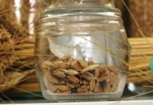 Bu Tohumlar Altından Bile Değerli Bu tohumlar altından bile değerli