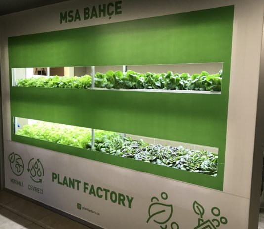 MSA ve Plant Factory Dikey Tarımda Bir İlke İmza Atıyor MSA Bahçe