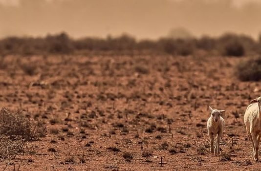 Tarımsal Kuraklık Başladı Tarımsal Kuraklık Başladı