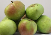 “Yomra Elması” Coğrafi İşaret Tescil Belgesi Aldı Yomra-elması