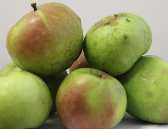 “Yomra Elması” Coğrafi İşaret Tescil Belgesi Aldı Yomra-elması