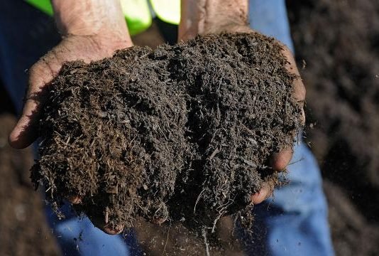 Tarım Kredi’den Rekor: Yaklaşık 1,5 Milyon Tonluk Gübre Satışı Yapıldı gubre