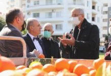 Mersin’de Turunçlar Salata Sosu Oluyor mersinde-turunclar-salata-sosu-oluyor