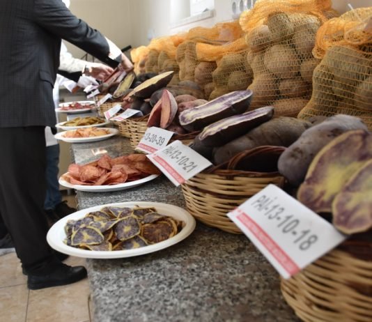 Niğde’de Renkli Patates Üretildi renkli patates
