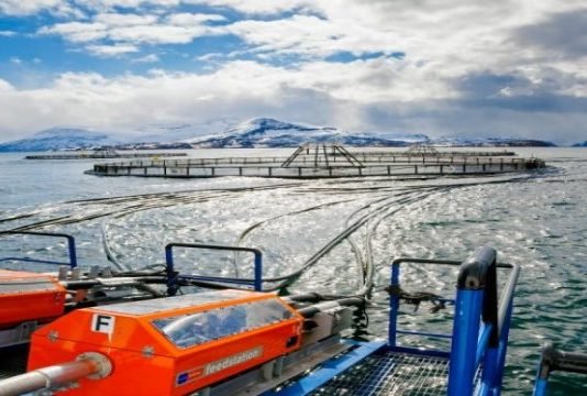 Global Somon Yetiştiriciliğinde Yepyeni Bir Yaklaşım Lerøy Salmon ™ somon yetistiriciligi