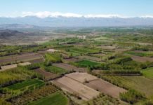 Sulak Alanları Doldurarak Arazi Kazananlara 402 Bin Lira Ceza tarim-arazisi-tarla