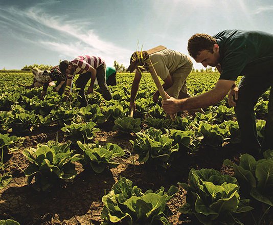 Çiftçinin 25 Çözüm Önerisi çiftçi