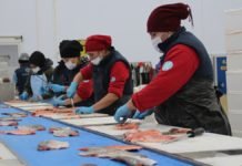 Karadeniz Somonu, En Çok Rusya’ya İhraç Edildi Karadeniz somonu, en çok Rusya'ya ihraç edildi