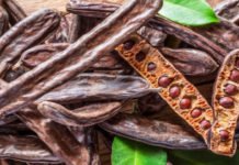 Keçiboynuzu Nasıl Yetişir? Keçiboynuzu Türkiye’de En Çok Ve En İyi Nerede Yetişir Ve Nasıl Yetiştirilir? Keçiboynuzu