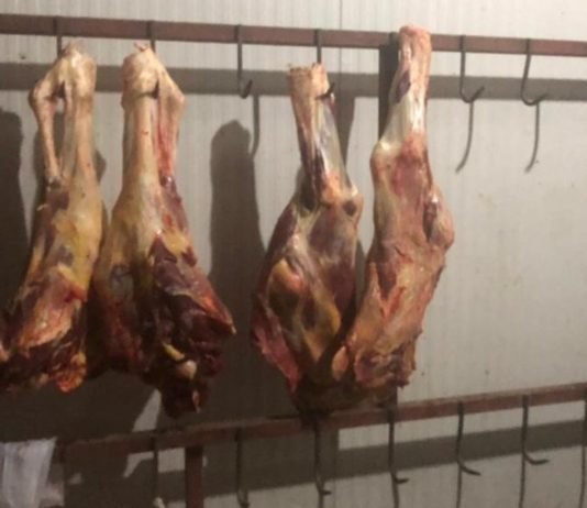 Malatya’da Yem Fabrikasında Ruhsatsız Et Üretimine Baskın Malatya'da Yem Fabrikasında Ruhsatsız Et Üretimine Baskın