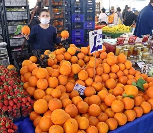 Mayıs Sıcakları Finike Portakalını 3 Kat Büyüttü Mayıs Sıcakları Finike Portakalını 3 Kat Büyüttü