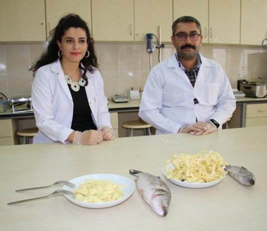 Protein Zengini Makarna Yaptılar Protein zengini makarna yaptılar