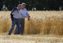 Rusya, Tahıl İçin Kalıcı Bir Yeni İhracat Mekanizması Başlatıyor Rusya, tahıl için kalıcı bir yeni ihracat mekanizması başlatıyor
