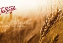 Balıkesir’den 40 Ülkeye Un İhraç Ediyor Tellioğlu