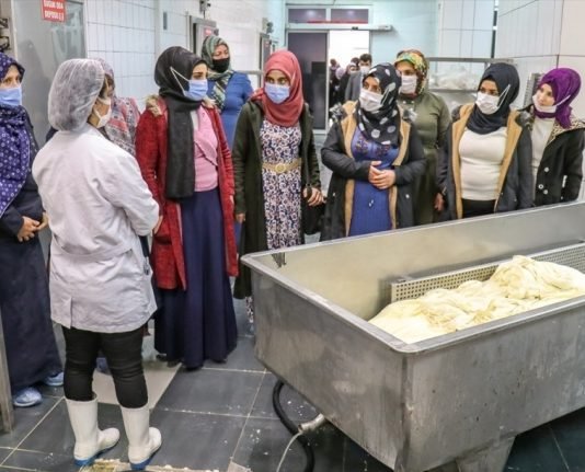 Van’da Kadın Çiftçilere Yönelik “Otlu Peynir“ Eğitimleri Devam Ediyor Van da kadin otlu peynir egitimleri devam ediyor