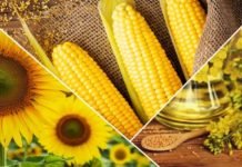 Cargill, 1000 Çiftçi 1000 Bereket Programı İle Çiftçilerin Verimi Arttı cargill-1000-ciftci-1000-bereket-programi