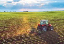 Üretime Açılan Hazine Arazileri Çiftçiye Ek Gelir Kapısı Oldu hazine arazisi