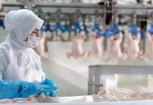 Beyaz Et Sektöründe Kadın İstihdam Oranı Türkiye Ortalamasının Üzerinde Beyaz Et
