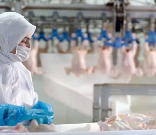 Beyaz Et Sektöründe Kadın İstihdam Oranı Türkiye Ortalamasının Üzerinde Beyaz Et