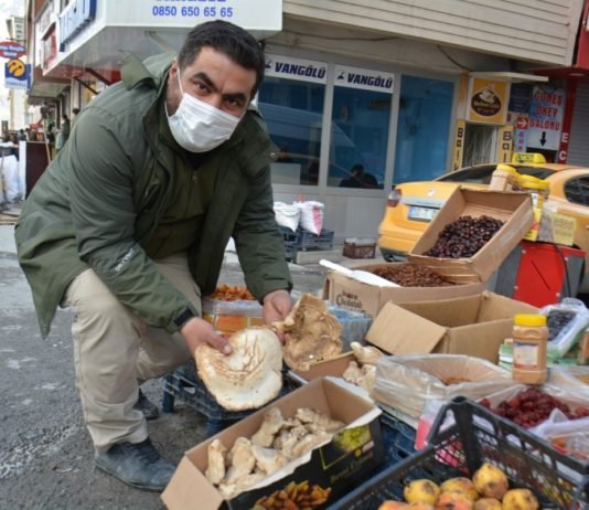 Hakkari’de Yılın İlk Mantarı Piyasada Hakkari’de Yılın İlk Mantarı Piyasada